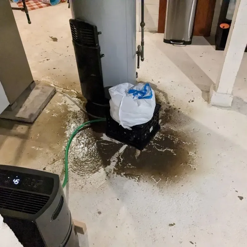 Sewage Backup Cleanup Service in Keytesville, MO